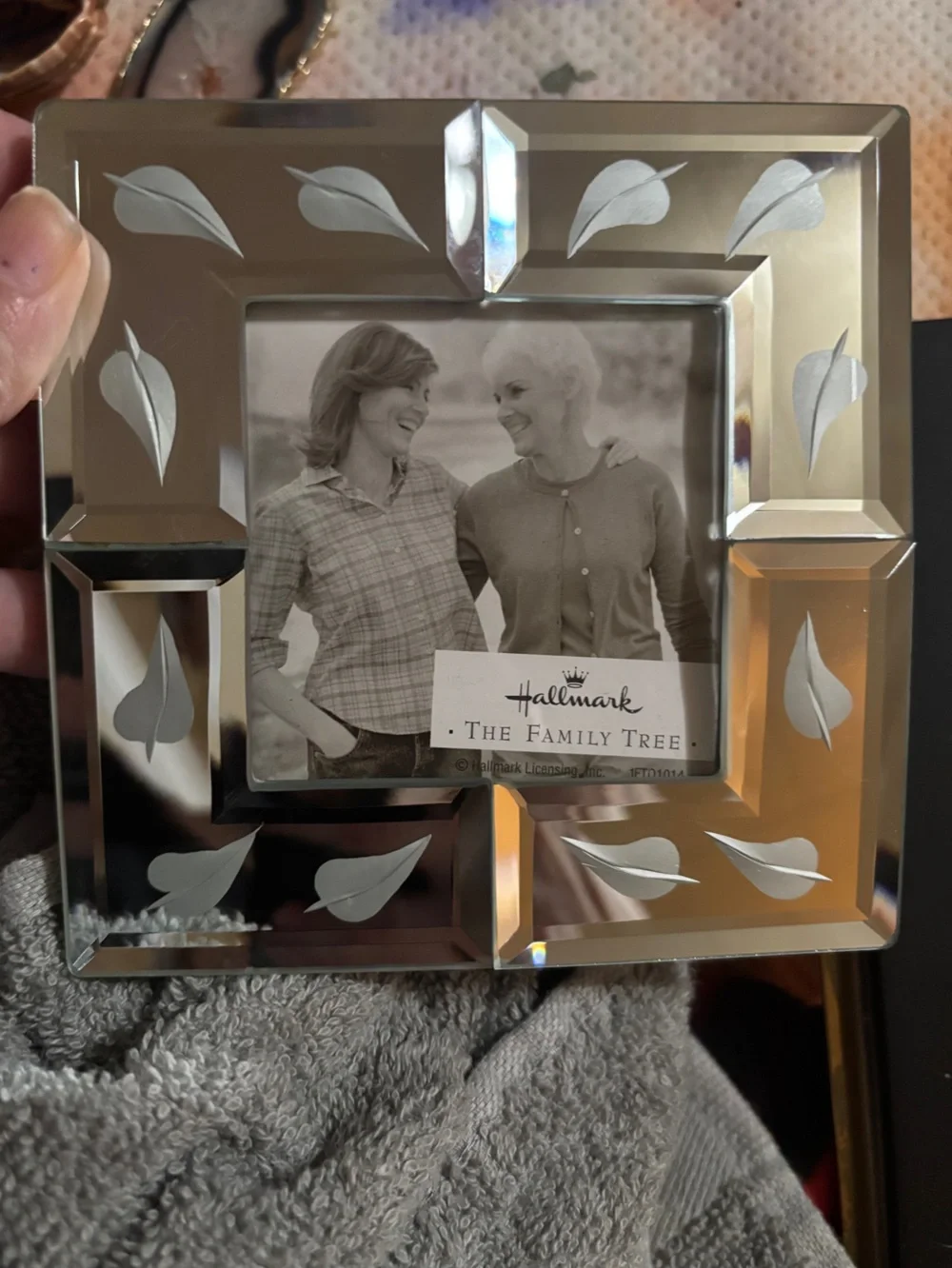 Hallmark Mirrored Photo Frame with Etched Leaf Motif in Silver